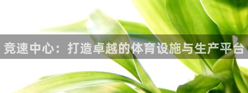意昂体育4招商电话：竞速中心：打造卓越的体育设施与生