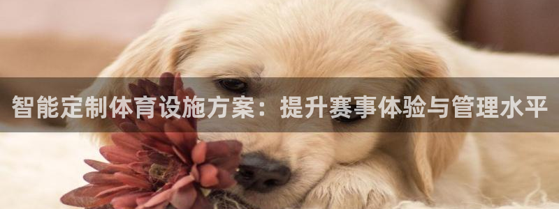 意昂体育4招商电话地址：智能定制体育设施方案：提升赛
