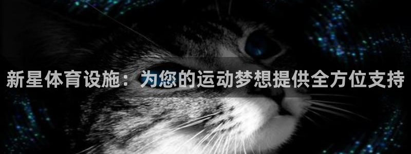 意昂体育4平台注册要钱吗安全吗：新星体育设施：为您的