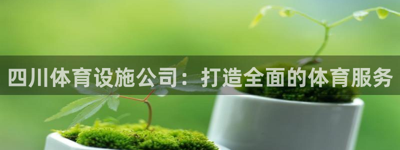 意昂体育4官方客服电话：四川体育设施公司：打造全面的