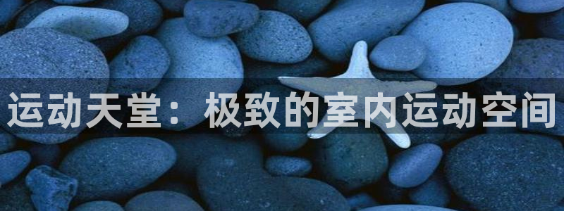 意昂体育4招商电话是多少号码：运动天堂：极致的室内运
