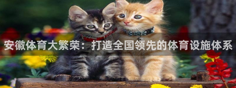 意昂体育4平台APP：安徽体育大繁荣：打造全国领先的