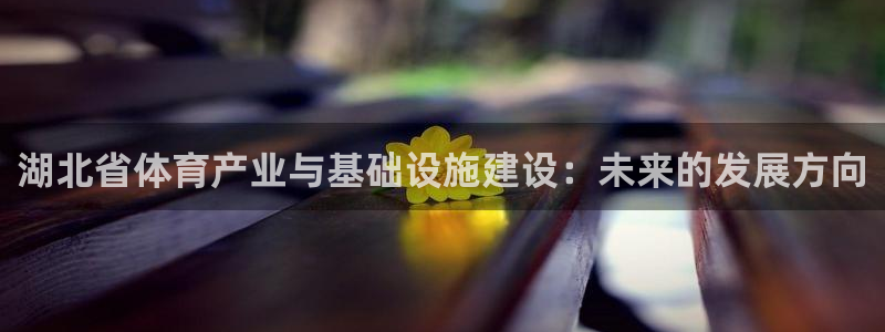 意昂体育4是干嘛的公司：湖北省体育产业与基础设施建设