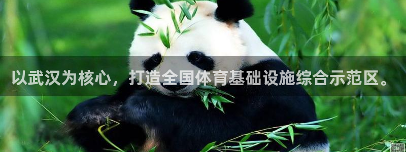 意昂体育4平台注册要钱吗安全吗：以武汉为核心，打造全