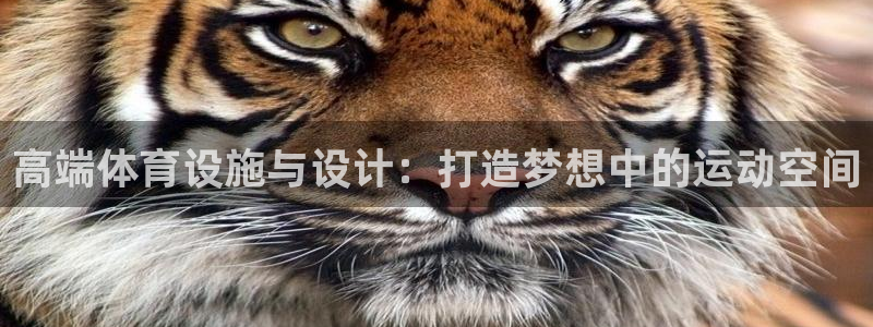 意昂体育4官方客服电话：高端体育设施与设计：打造梦想