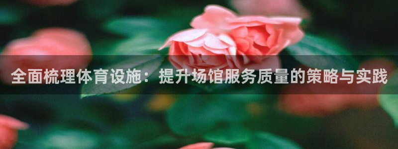 意昂4娱乐首页网站大全：全面梳理体育设施：提升场馆服
