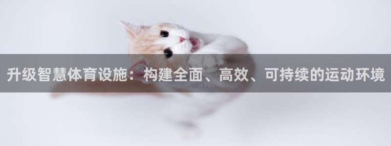 意昂4五金厂：升级智慧体育设施：构建全面、高效、可持