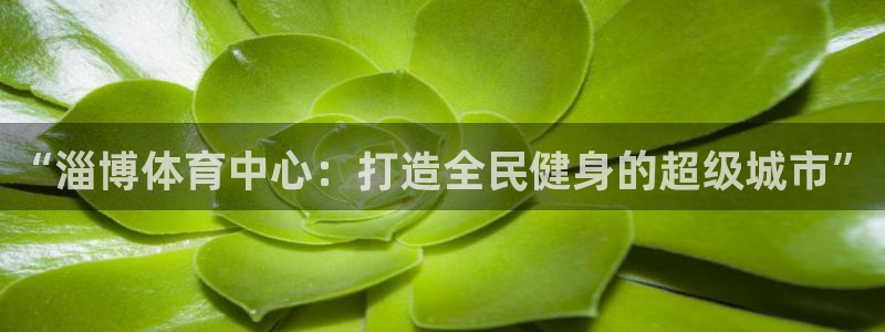 意昂4娱乐是那个系列的台子：“淄博体育中心：打造全民