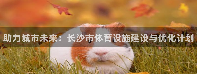 意昂4集团官网首页：助力城市未来：长沙市体育设施建设