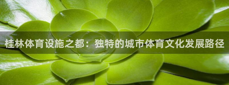 意昂4五金厂：桂林体育设施之都：独特的城市体育文化发