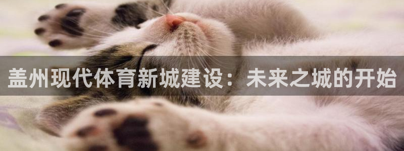 海南意昂体育4：盖州现代体育新城建设：未来之城的开始