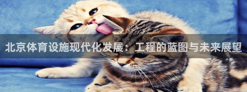 意昂4官网：北京体育设施现代化发展：工程的蓝图与未来