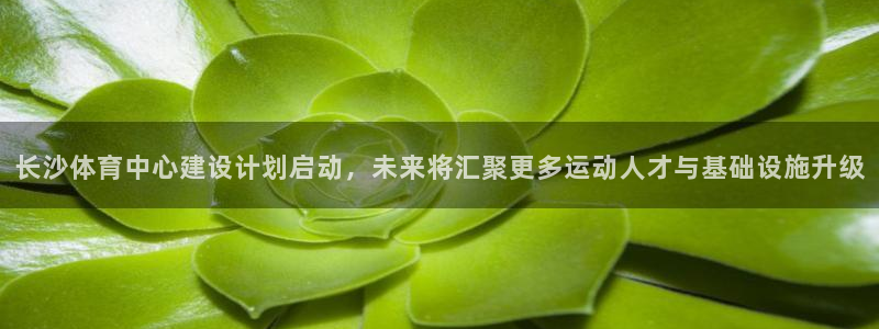意昂体育4注册：长沙体育中心建设计划启动，未来将汇聚