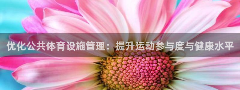 意昂4集团E.ON：优化公共体育设施管理：提升运动参