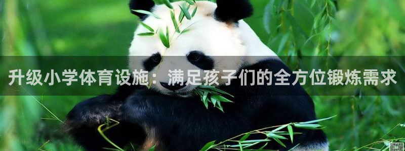 意昂4集团E.ON：升级小学体育设施：满足孩子们的全