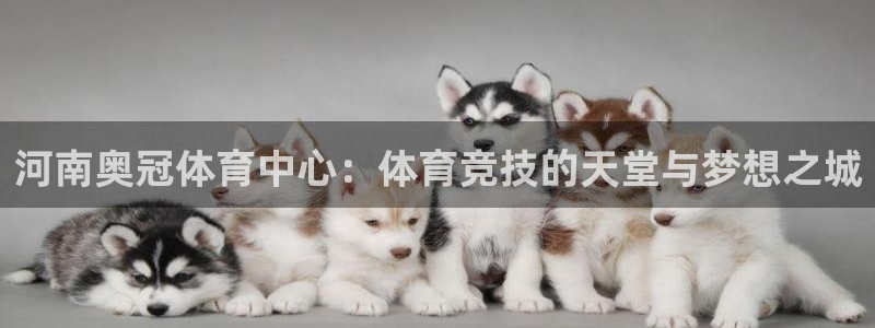 意昂4集团简介：河南奥冠体育中心：体育竞技的天堂与梦