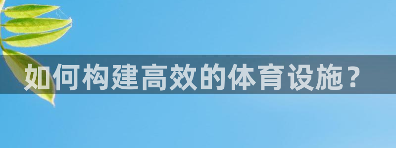 海南意昂体育4发展怎么样：如何构建高效的体育设施？