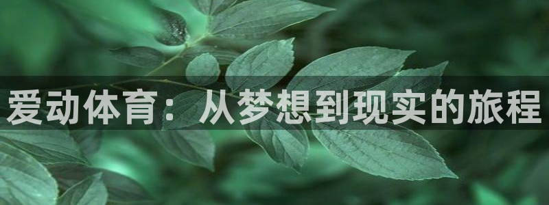 意昂4官方：爱动体育：从梦想到现实的旅程